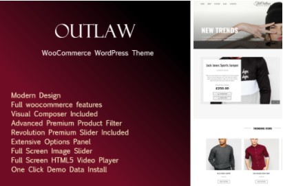 WordPress Theme