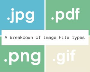 A Breakdown of Types of Files