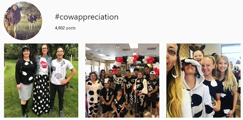 #CowAppreciation Instagram Results Chick-fil-A Instagram